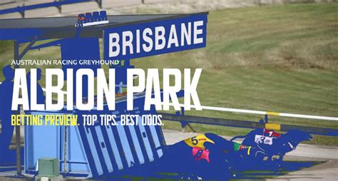 albion park greyhounds|Racing Programs .